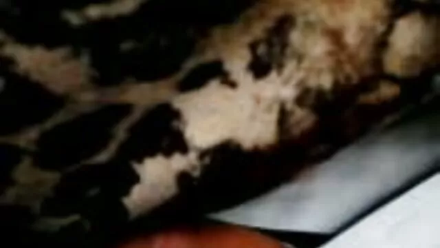 Fille noire a tube porno 3d un coffre au sol