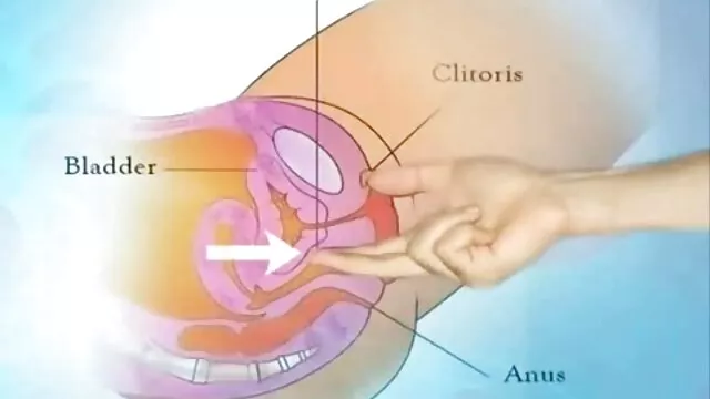 Les jeunes tube porno famille lesbiennes brunes lèchent la chatte et les ciseaux